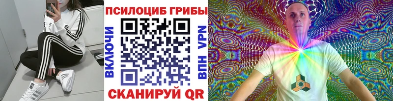 кракен онион  Ярцево  Псилоцибиновые грибы GOLDEN TEACHER 